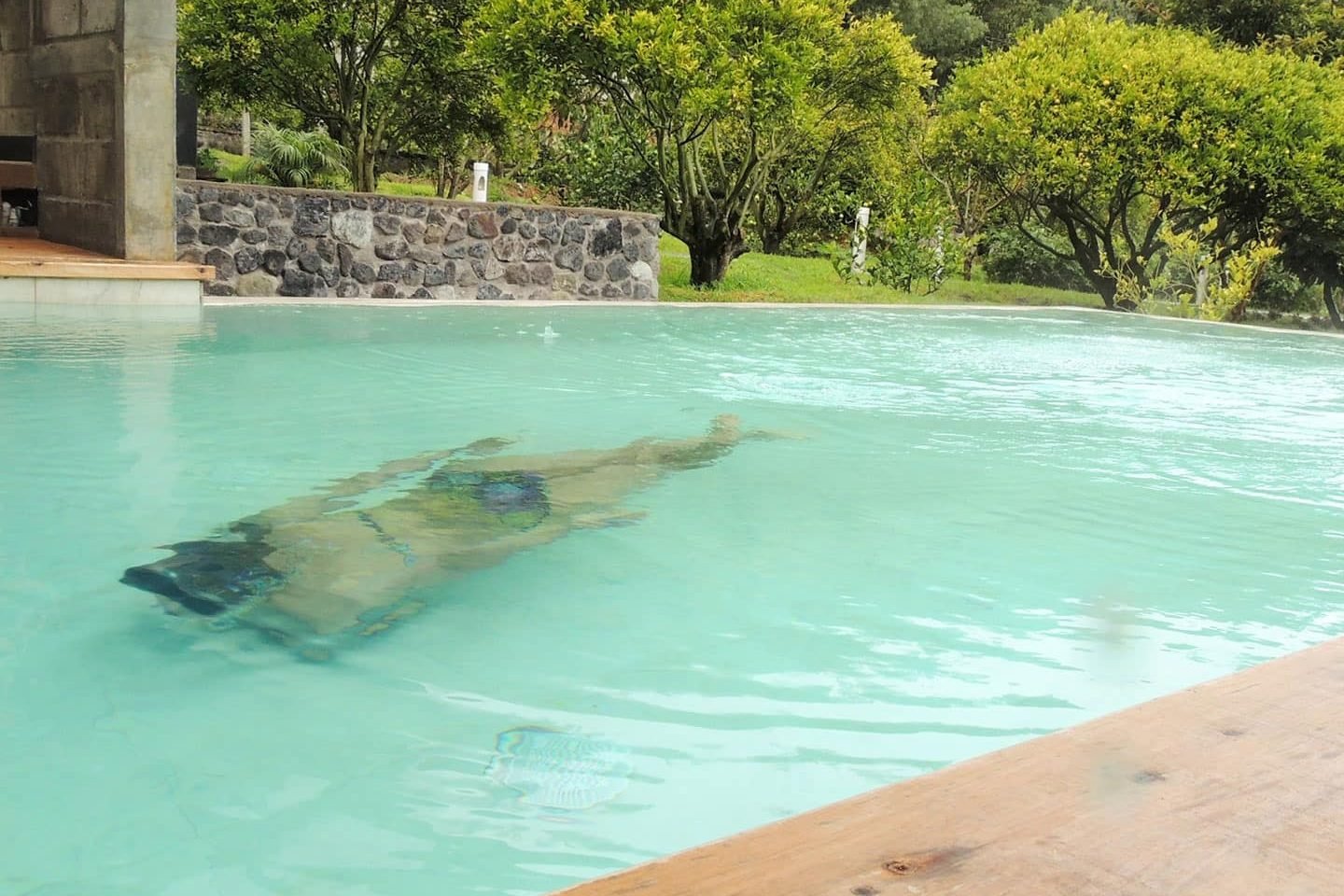 Piscina semi cubierta con  agua cristalina he integrada con el huerto